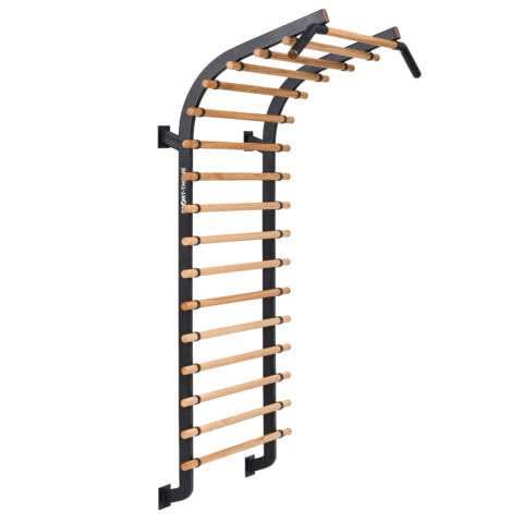 Sport-Thieme Wall Bars X