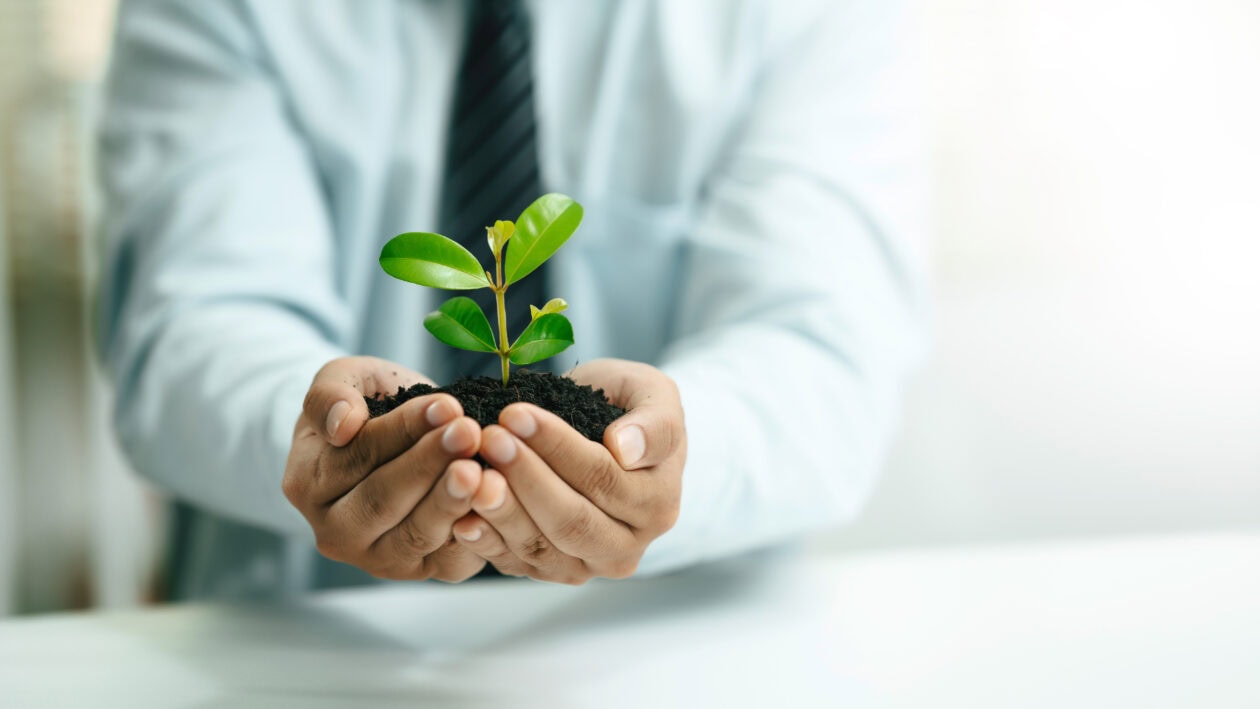 Businessman holding a small plant with soil in his hands, symbolizing sustainability.